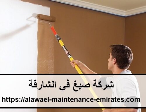 شركة صبغ في الشارقة |0565645792 |صباغ رخيص في الشارقة