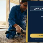 صورة غسيل سجاد في العين