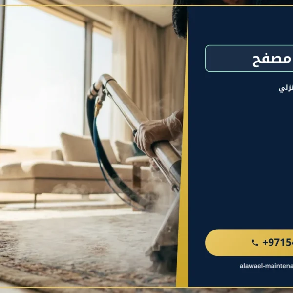 صورة غسيل سجاد مصفح